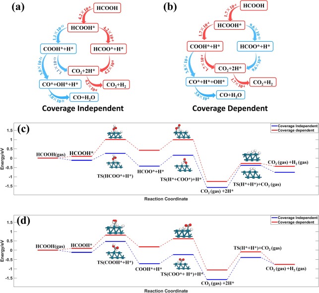 Figure 1: coverage-dependent and coverage-independent mechanisms and energy profiles for formic acid decomposition on Pd