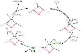 Publication graphic for The Mechanism and Ligand Effects of Single Atom Rhodium Supported on ZSM-5 for the Selective Oxidation of Methane to Methanol
